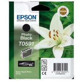 Cartuccia Epson T0591